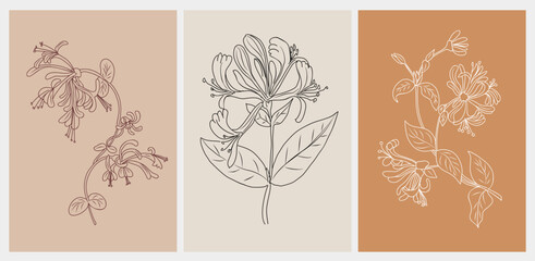 Set of Honeysuckle, June birth month flower wall art, posters. Botanical line art vector illustrations on terracotta and beige backgrounds. Modern design for jewelry, tattoo, logo, packaging.