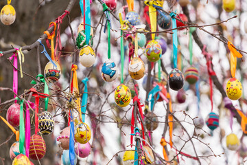 Easter tree with eggs closeup. Many colorful multicolored painted easter egg on tree branch, abstract background