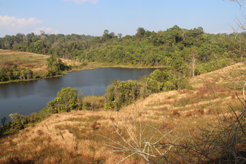khao yai national park in thailand 