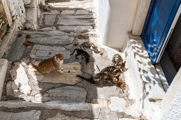Mittags in Apeiranthos
