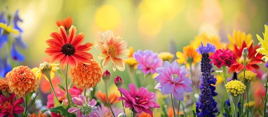  A captivating display of beautiful flowers brightening up a sunny day as they bloom in the grass. © AkuAku