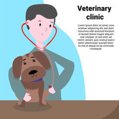 Young doctor caring cut dog in vet office
