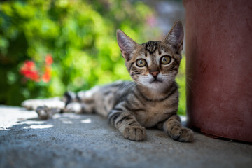 Mittags in Apeiranthos