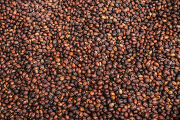 Coffee beans drying in the sun to later be cleaned and roasted.
