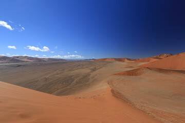 Fototapeta na wymiar red sand landscape of namib desert