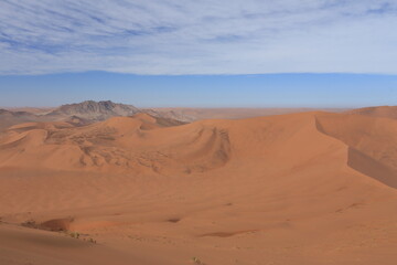Fototapeta na wymiar red sand dunes landscape of namib desert