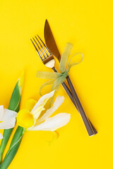 Iris yellow and white flowers on tender spring background, 8 march day festive background, mimose is traditional flowers for Easter or Mothers Day