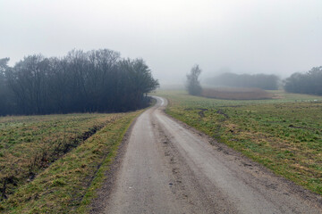 Natural landscape of a foggy morning in the countryside.