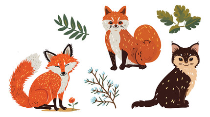 Four different types of foxes sitting next to each other