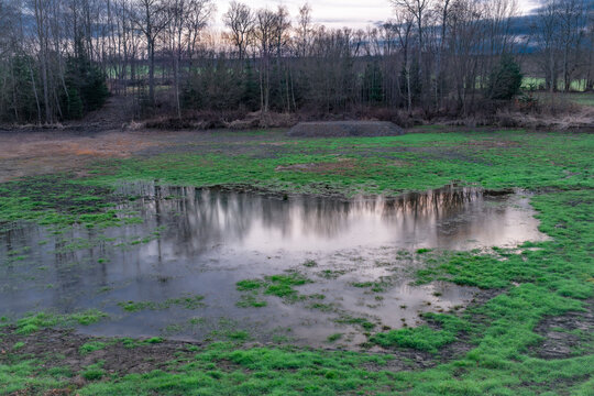 Flooded meadow with green grass in color cloudy winter evening near Tabor town