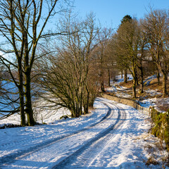Vehicle tracks on a snow covered side road on a blue sky day with bare, leafless trees bathed in...