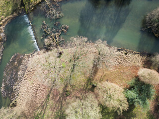 Pair of fallen mature trees seen laying in a fast moving river in the UK. The trees, subjected to...