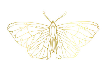Decorative winged insect of a golden butterfly. Vector graphics.