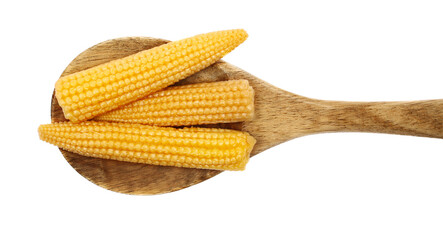Fresh boiled baby corn cobs in wooden spoon isolated on white