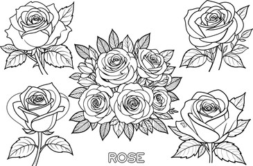 set of roses vector hand-drawn outline and coloring page design