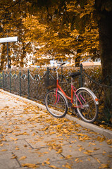 Vintage bicycle in park with fall leaves
