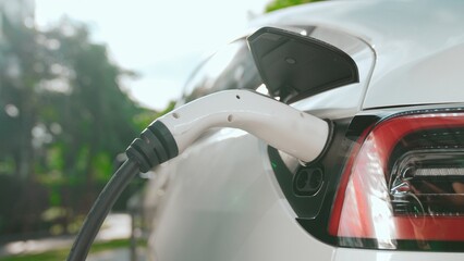 EV electric car charging in green sustainable city outdoor garden in summer. Urban sustainability...
