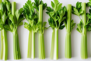 Green fresh celery sticks on white background