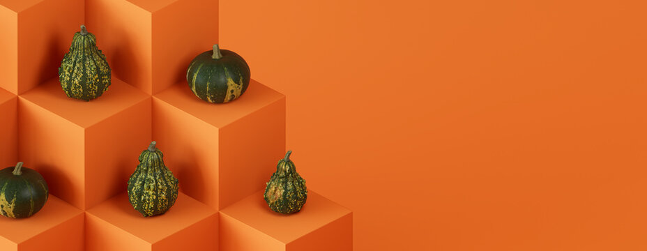 Seasonal background Banner with copy-space. Squashes on Orange color Blocks. Autumn Concept.