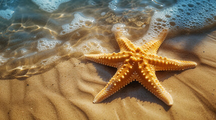 Fototapeta na wymiar Cute starfish and waves on the sand of the seashore