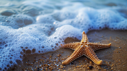 Cute starfish and waves on the ocean shore
