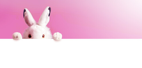 White easter rabbit with sheet for a text writing. Easter concept. Easter bunny. - 740253167