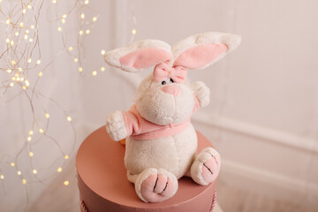 bunny, rabbit - white soft toy in a pink jacket