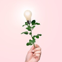 Modern collage of light bulb on rose flower.