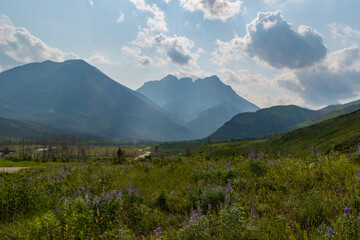 Obraz premium Sun rays shine through wildfire smoke haze, Waterton Lakes National Park, Alberta, Canada