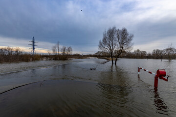flooded road, early spring flood, river overflowing its banks, trees in the water, environmental...
