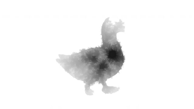 Animated ink blot forms the duck (This animation can be easily combined using the "Multiply" blend mode)