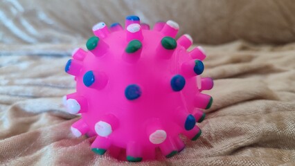 seashell on the sand