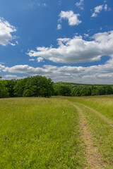National nature reservation Vojsicke louky near Lucina,  White Carpathians, Czech Republic