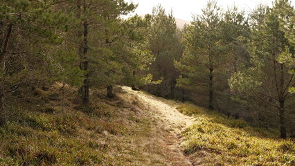 Glen Sherup, Scotland, UK
