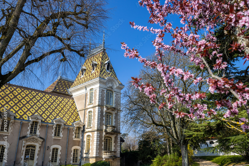 Canvas Prints chateau aloxe-corton (castle), burgundy, france