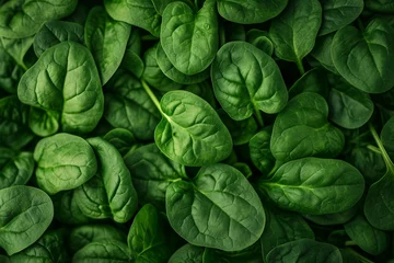 Fototapeten Top View of greenery spinach leaves © sania