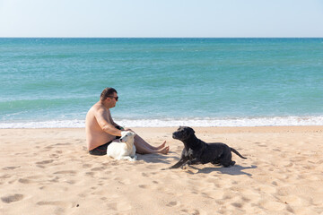 Fototapeta na wymiar Friendship concept, man and two dogs sitting together on the beach. Vacation and summer travel with pet.