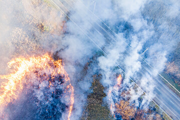 dead wood fire filmed from a quadcopter in the spring at sunset