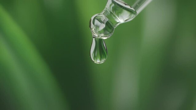 Serum drop falling from pipette with essential liquid. Cosmetic or medical liquid in slow motion. Dermatology science laboratory. Natural medicine research and organic skin or body care products