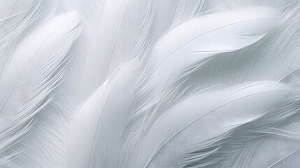 Ethereal Close-Up of a Delicate White Feather with Soft Texture and Copy Space