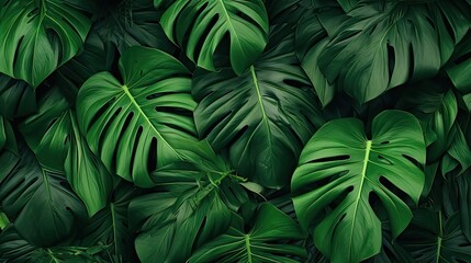 Fototapeta na wymiar Lush Green Leaves Wallpaper Background Texture with Tropical Palm and Monstera for Calm and Serene Vibes