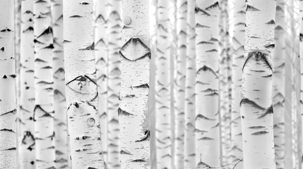 Fotobehang Birch Tree Forest - A Black and White Pattern © Sintrax