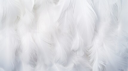 Ethereal White Feathers Floating in a Dreamy Background Amidst Airy Luminosity