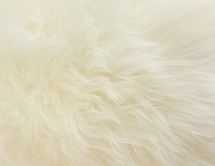 white wool carpet background, white wool rug texture background	
