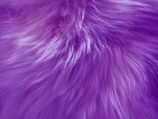 purple wool rug texture background, wool carpet texture 