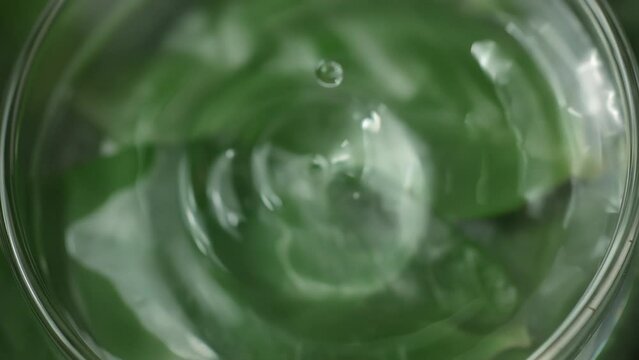 Drop is falling into petri dish with cosmetic or medical liquid in slow motion. Dermatology science laboratory. Concept of natural medicine or cosmetic research and organic skin or body care products