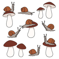Set of color illustration with snail and mushroom. Isolated vector objects on white background. - 740308519