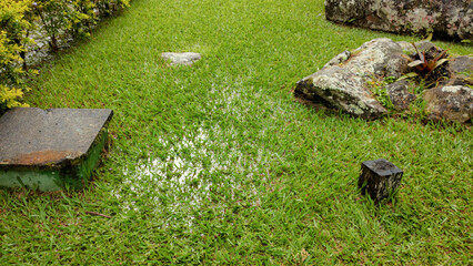 cloudy cloud rain water stone rock vegetable flower leaf plant grass texture puddle path trail ladder walk garden sconce bush bush forest tree valley mountain hill forest nature ivy trash can landscap