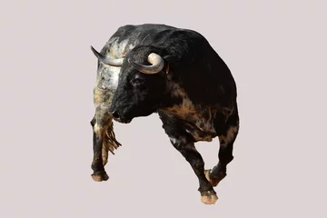 Zelfklevend Fotobehang strong bull with big horns in a traditional spectacle of bullfight © alberto