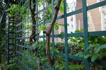 the Coulée Verte viaduct is an elevated urban garden in the 12th arrondissement of Paris - obrazy, fototapety, plakaty